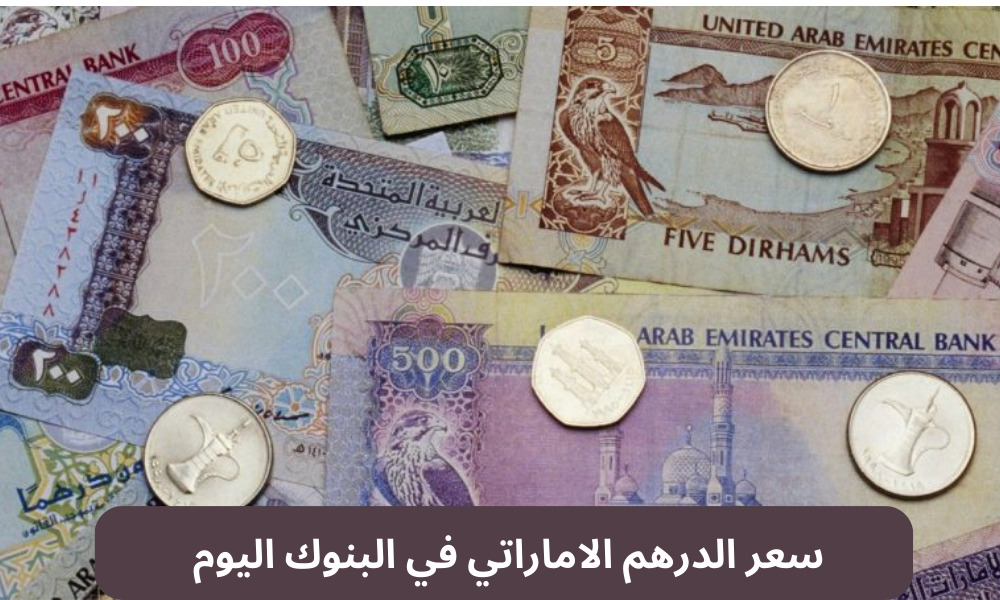 سعر الدرهم الاماراتي مقابل الجنيه المصري اليوم الاثنين 6/1/2025 في البنوك المصرية والسوق السوداء