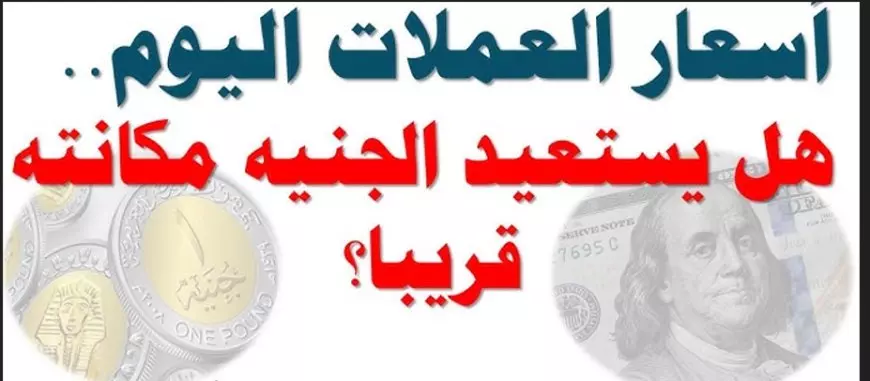 استقرار أسعار العملات والدولار في السوق السوداء اليوم في مصر الثلاثاء 28 يناير 2025 مقابل الجنيه المصري