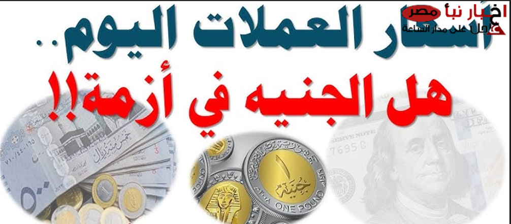 “العملات تتأرجح” أسعار العملات في السوق السوداء اليوم الخميس 13-2-2025 وبنك مصر