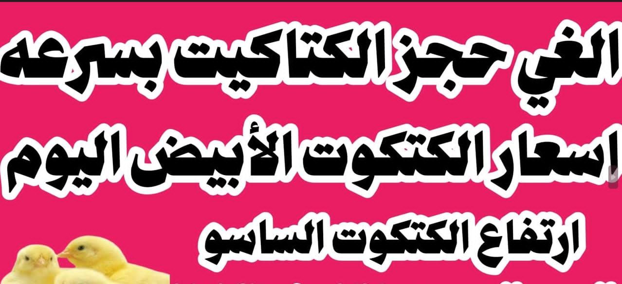 (ساسو وبلدي) أسعار الكتاكيت اليوم عمر يوم في بورصة الدواجن الرئيسية.. إشتري قبل رمضان