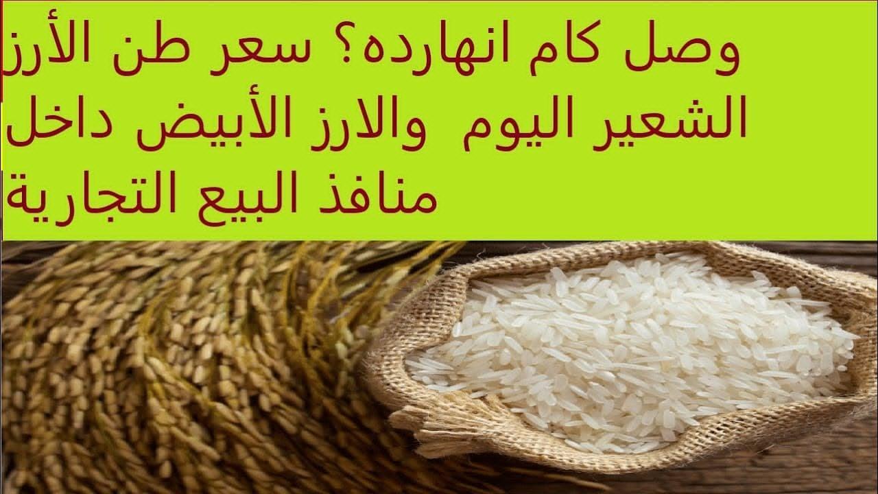 سعر طن الأرز الشعير اليوم الخميس 27 فبراير 2025 في السوق المصري.. مفاجأة قبل رمضان