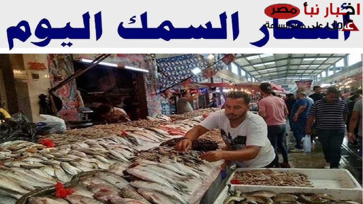 أسعار السمك اليوم الثلاثاء11-2-2025 في سوق العبور بالكيلو .. تراجع كبير للبلطي