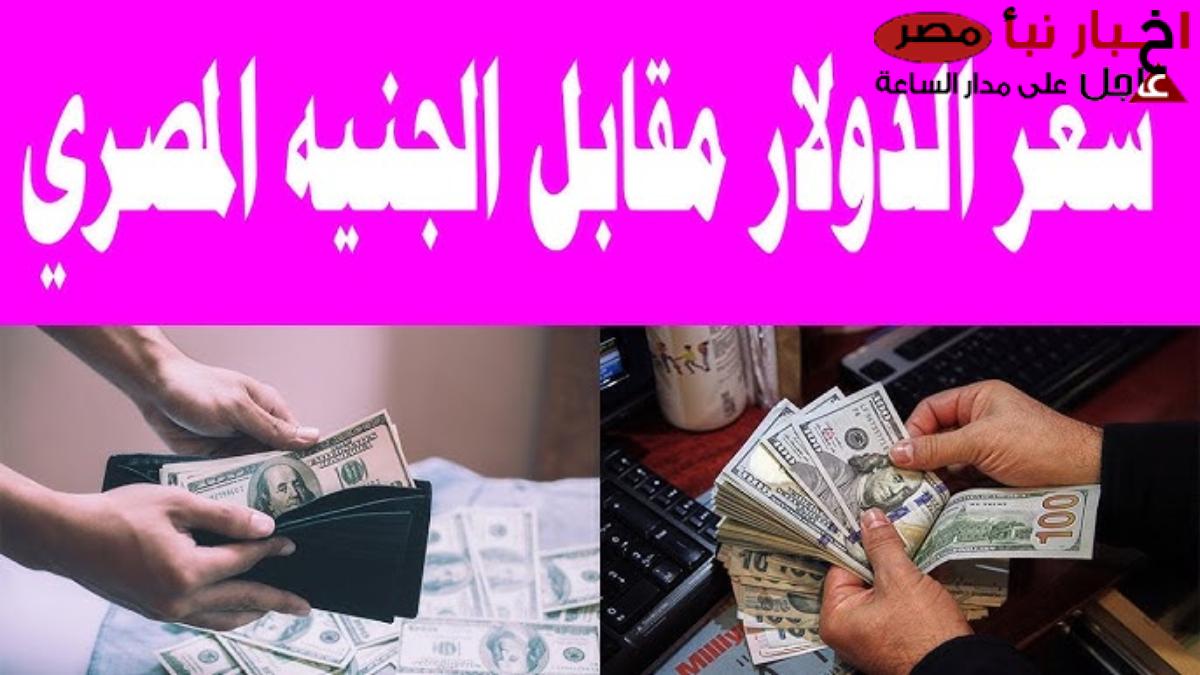 يقترب من 55 جنيه: اعلى سعر للدولار اليوم في السوق السوداء مقابل الجنيه المصري