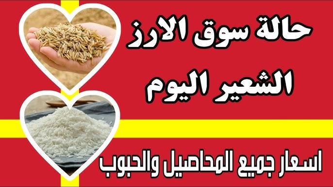 استقرار سعر طن الأرز الشعير اليوم الاثنين 24 فبراير 2025 للمستهلك بالاسواق وفقا اخر تحديث