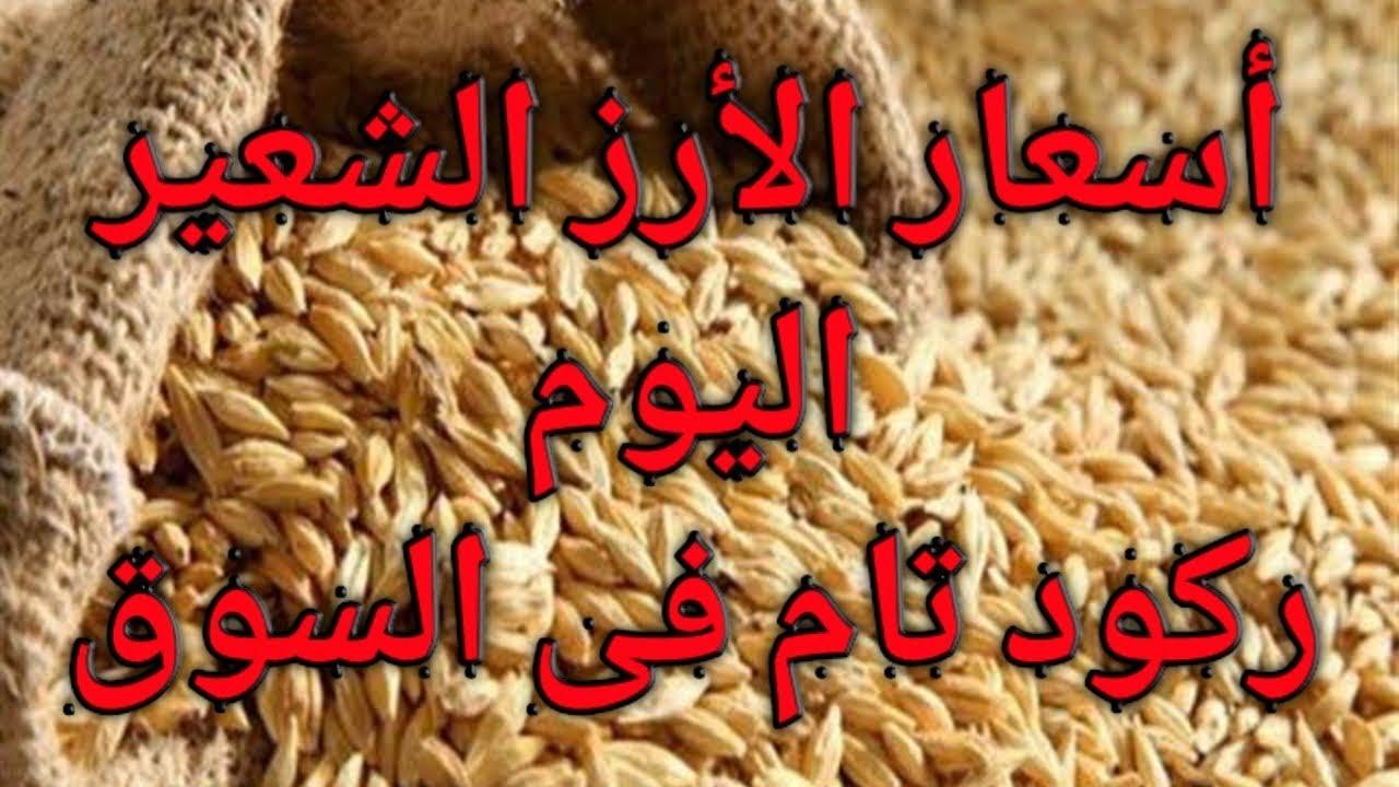 “ركود تام ” سعر طن الأرز الشعير اليوم (عريض ورفيع) للمستهلك والتاجر في مصر