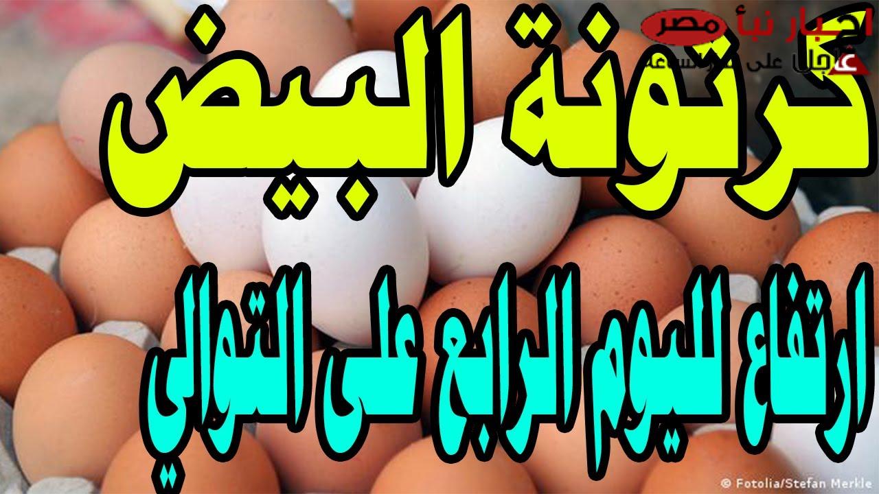 (احمر وابيض وبلدي) سعر كرتونة البيض اليوم جملة في الشركات المختلفة