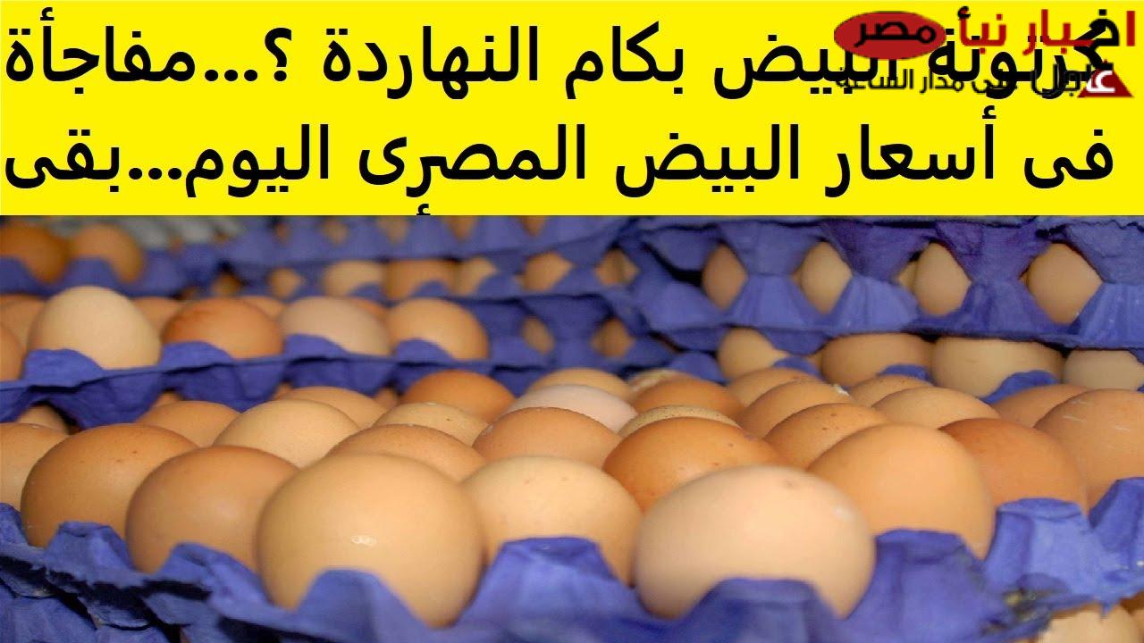 (ابيض واحمر) سعر كرتونة البيض اليوم للمستهلك في الاسواق المصرية