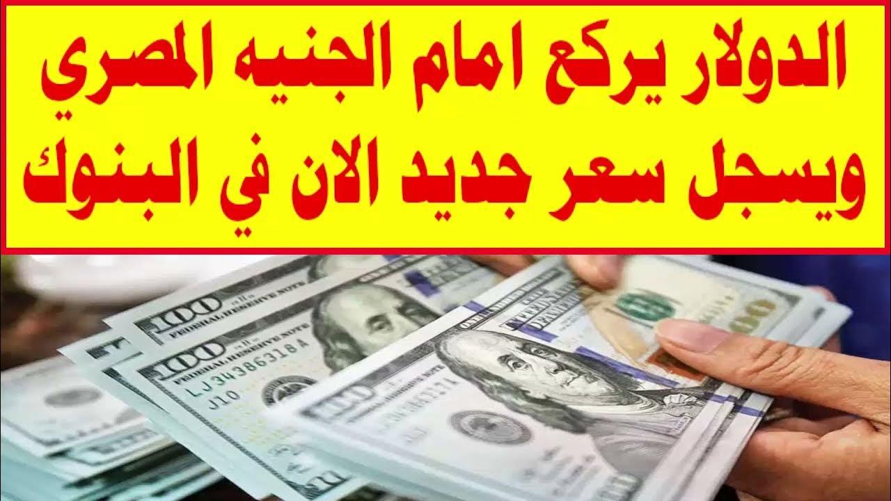 رقم قياسي جديد لسعر الدولار مقابل الجنيه المصري في البنوك والسوق السوداء