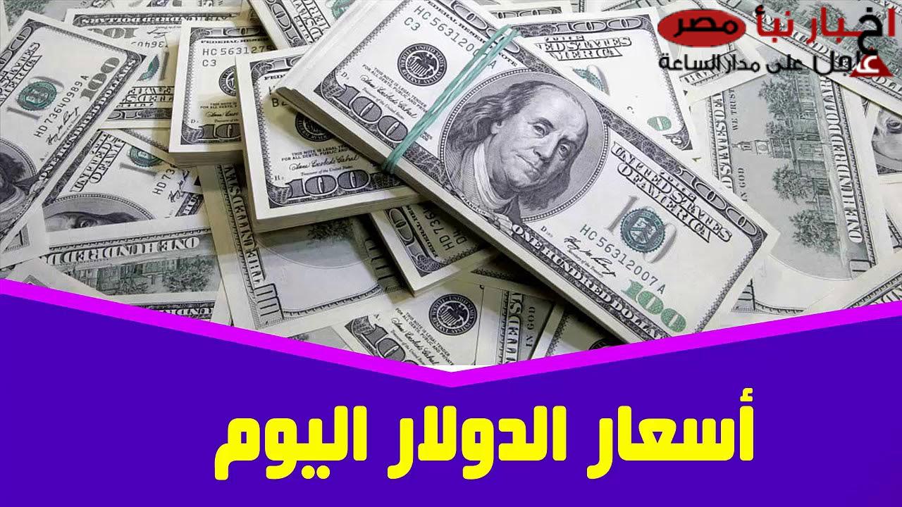 سعر الدولار اليوم مقابل الجنيه المصري الثلاثاء 18 فبراير 2025 في السوق السوداء والبنوك المصرية