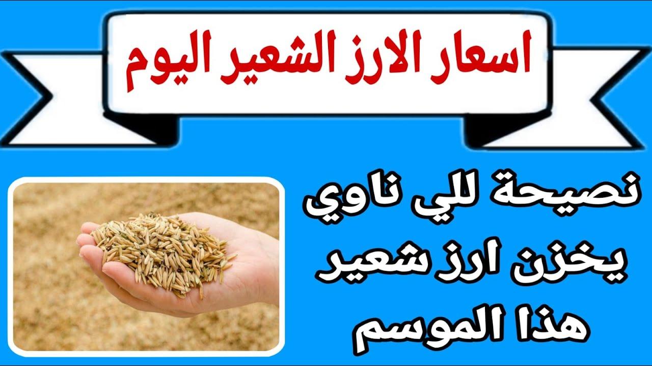 (عريض ورفيع) سعر طن الأرز الشعير اليوم الأربعاء للتجار والمستهلكين في مصر