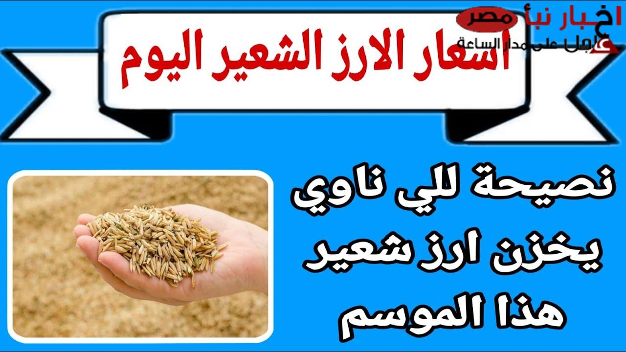 سعر طن الأرز الشعير اليوم (رفيع وعريض) للتاجر والمستهلك في مصر