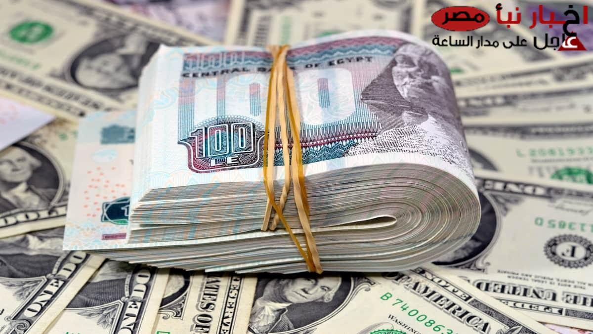 سعر الدولار مقابل الجنيه المصري اليوم الأحد 16-2-2025 في البنوك والسوق السوداء