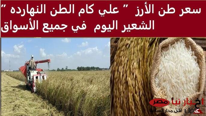 سعر طن الأرز الشعير اليوم الثلاثاء 4 مارس 2025 بجميع الأنواع في الأسواق